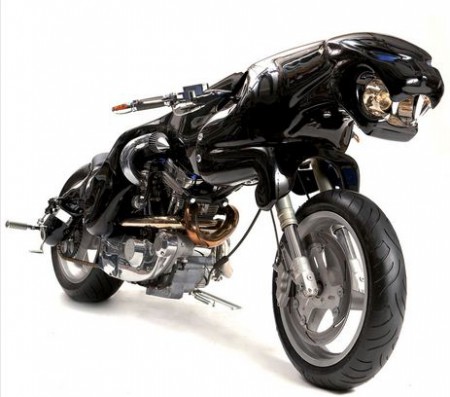 moto jaguar